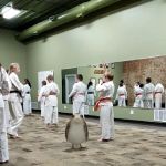 Pinnacle Martial Arts