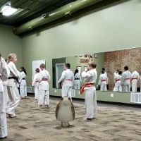 Pinnacle Martial Arts ico