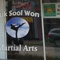 Kuk Sool Won ico