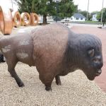 Taylor's Tae Kwon Do Academy