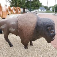 Taylor's Tae Kwon Do Academy ico