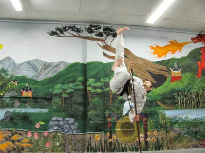 Taylor's Tae Kwon Do Academy Picture 3