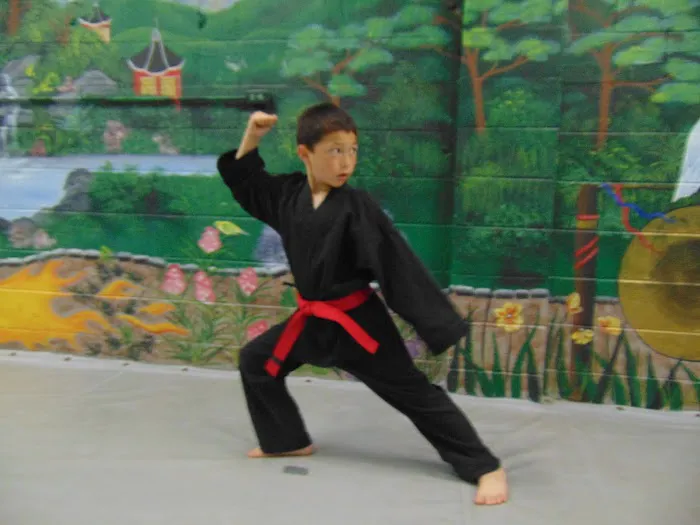 Taylor's Tae Kwon Do Academy Picture 6