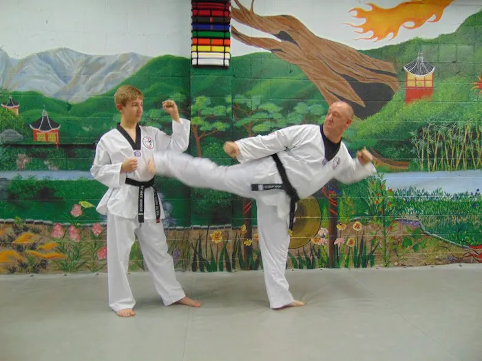Taylor's Tae Kwon Do Academy Picture 7