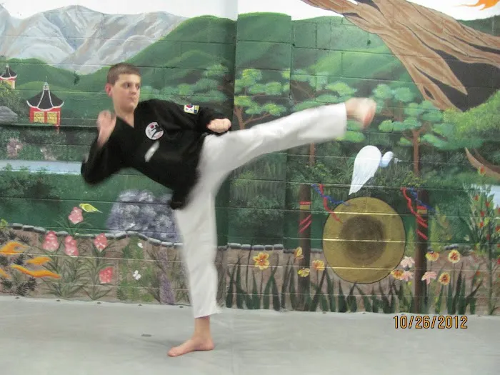 Taylor's Tae Kwon Do Academy Picture 9