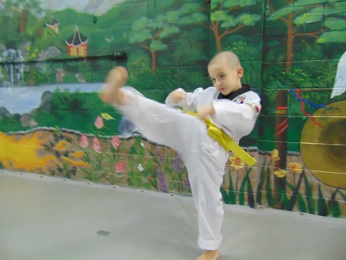 Taylor's Tae Kwon Do Academy Picture 10