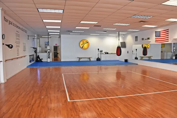 Basche's Martial Arts Picture 5