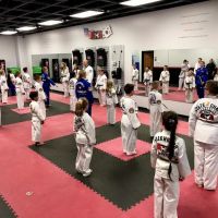 Cabeen's Taekwondo ico