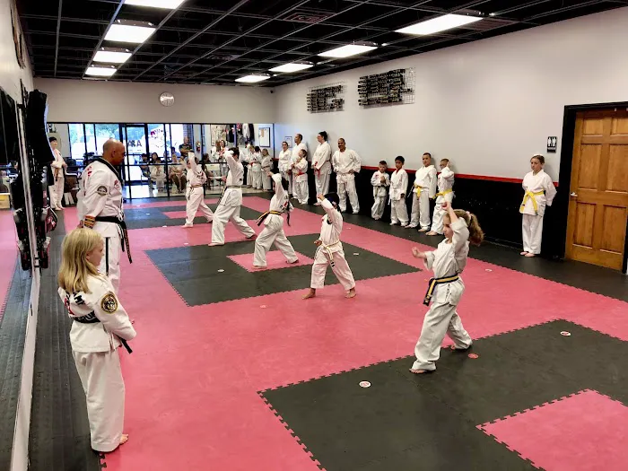 Cabeen's Taekwondo Picture 4