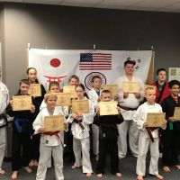 Lions Karate of Fort Wayne ico