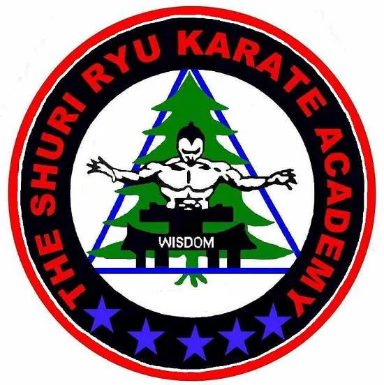 Shuri Ryu Karate Academy Picture 1