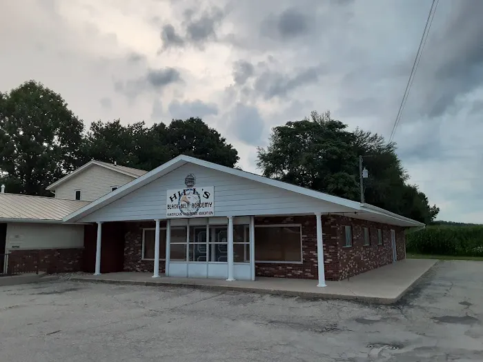 Hill's ATA Martial Arts Picture 2