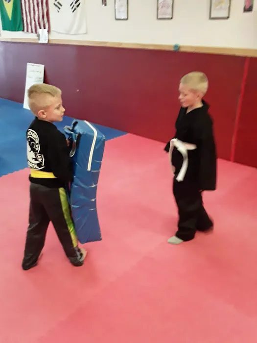 Rochester Family Martial Arts Picture 3