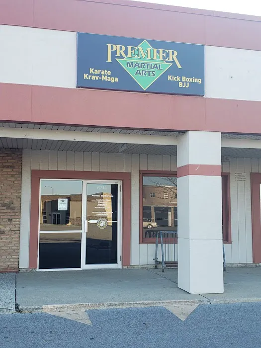 Premier Martial Arts Picture 1