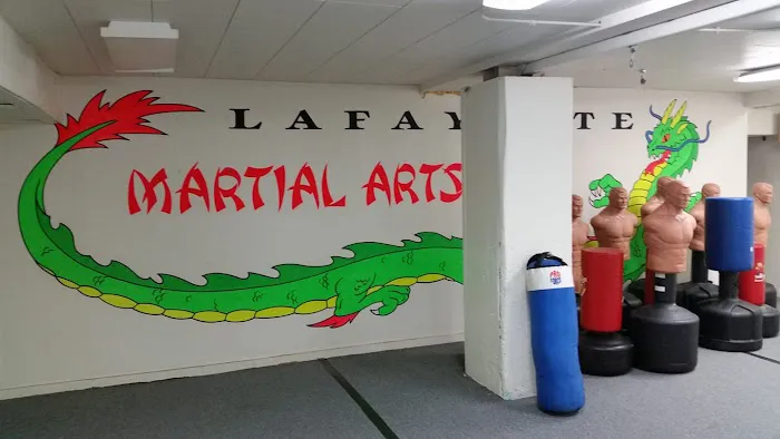 Lafayette Martial Arts Club Picture 1