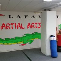 Lafayette Martial Arts Club ico