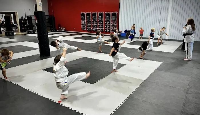 Elite Martial Arts - Auburn Picture 1
