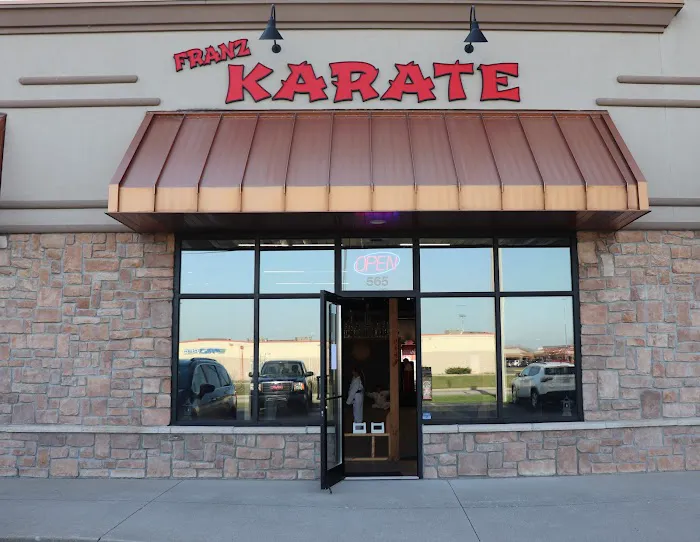 Franz Karate Picture 3