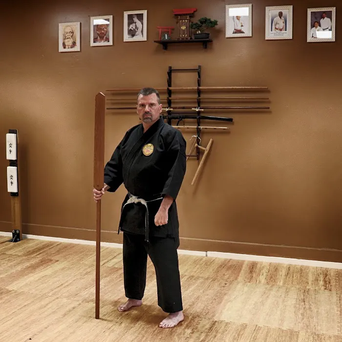 Franz Karate Picture 6