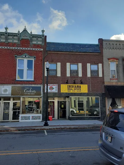 Franz Karate Picture 7