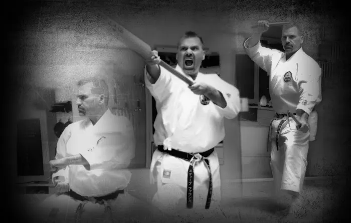 Franz Karate Picture 9