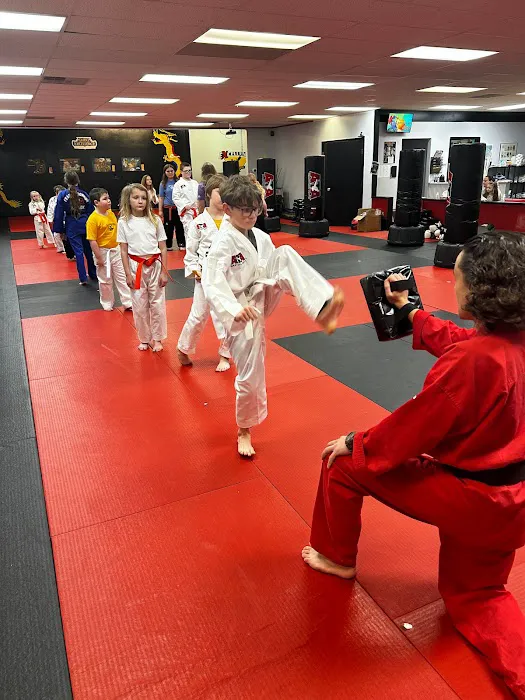 ATA Excellence Martial Arts Picture 3