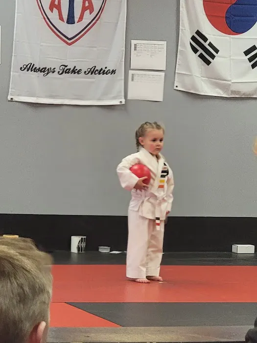 ATA Excellence Martial Arts Picture 6