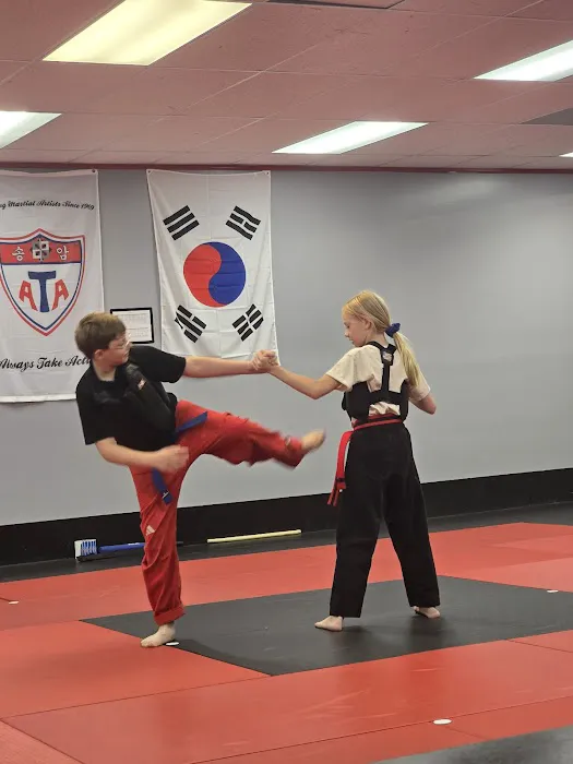 ATA Excellence Martial Arts Picture 7