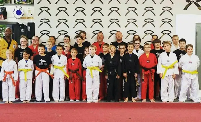 Hoosier Tae Kwon DO Picture 1