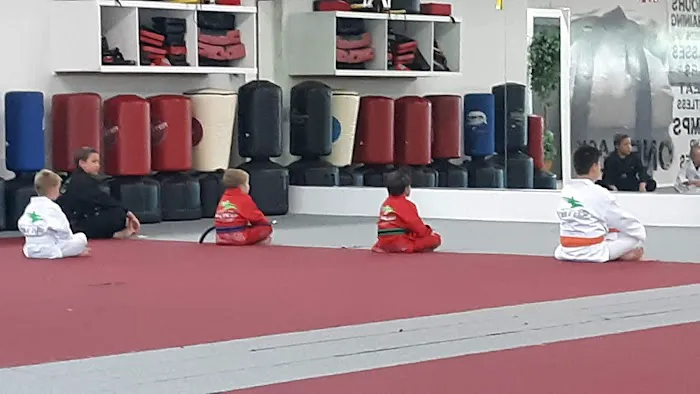 Hoosier Tae Kwon DO Picture 9