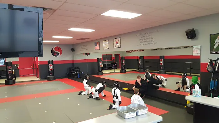 Success Martial Arts Picture 9