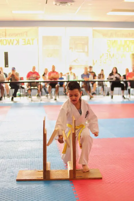 Elkhart Martial Arts Picture 4