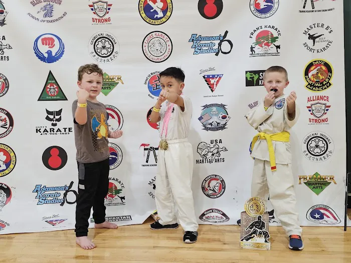 Elkhart Martial Arts Picture 6