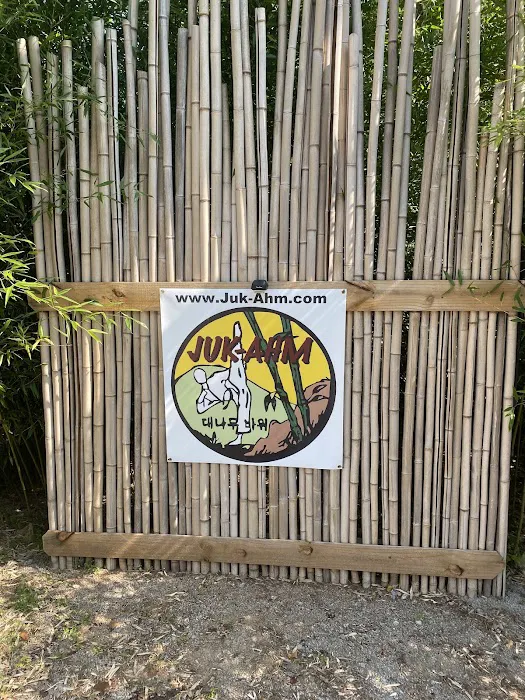 River City Taekwondo Academy Picture 9