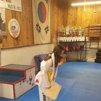 Hongs USA Taekwondo Inc ico