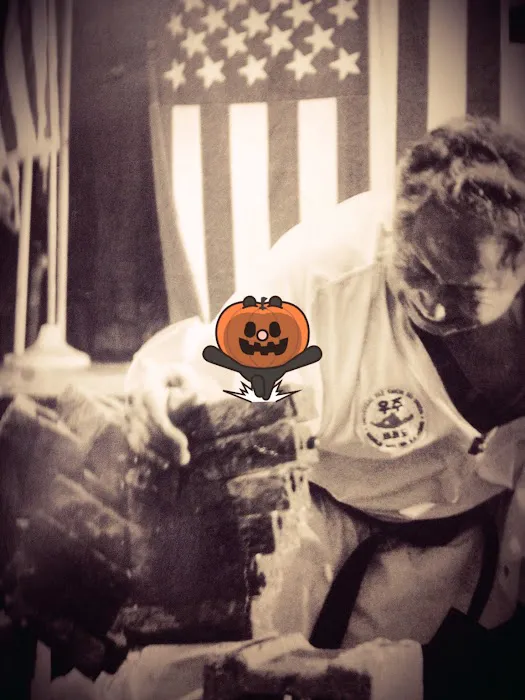 Hongs USA Taekwondo Inc Picture 4