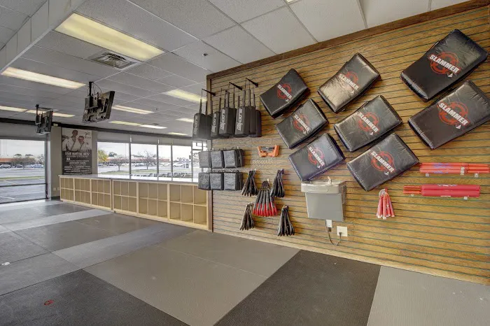 Star Martial Arts Picture 8