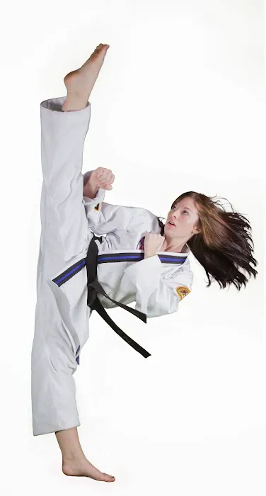 Star Martial Arts Picture 6