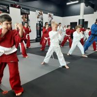 Star Martial Arts ico