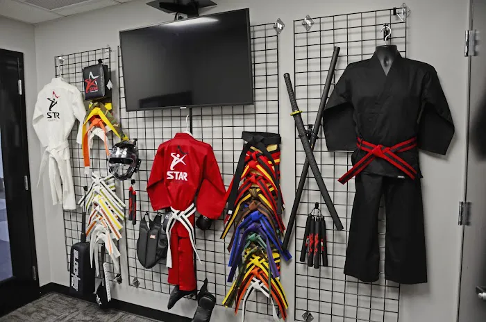 Star Martial Arts Picture 4