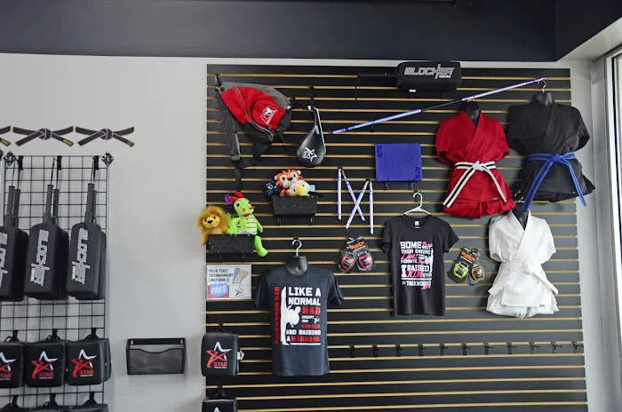 Star Martial Arts Picture 7