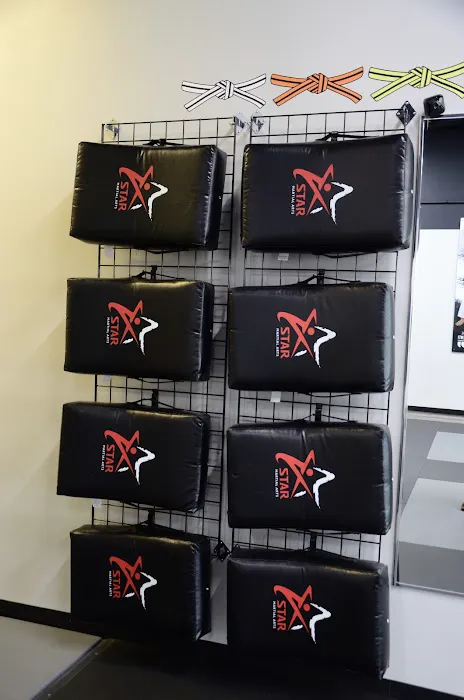 Star Martial Arts Picture 8