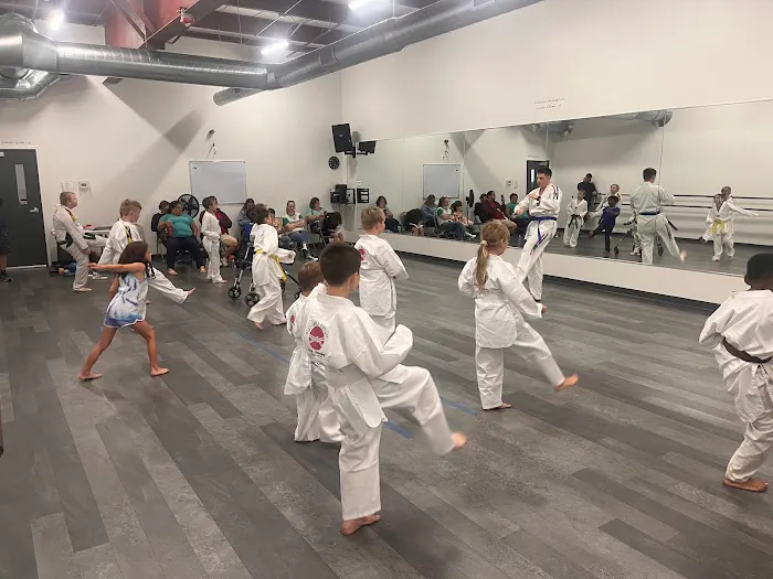 Hydes Lifestyle Taekwondo Picture 1