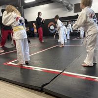 Championship Martial Arts Portage ico