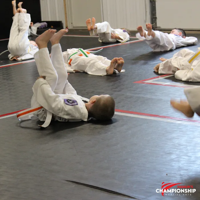 Championship Martial Arts Portage Picture 6