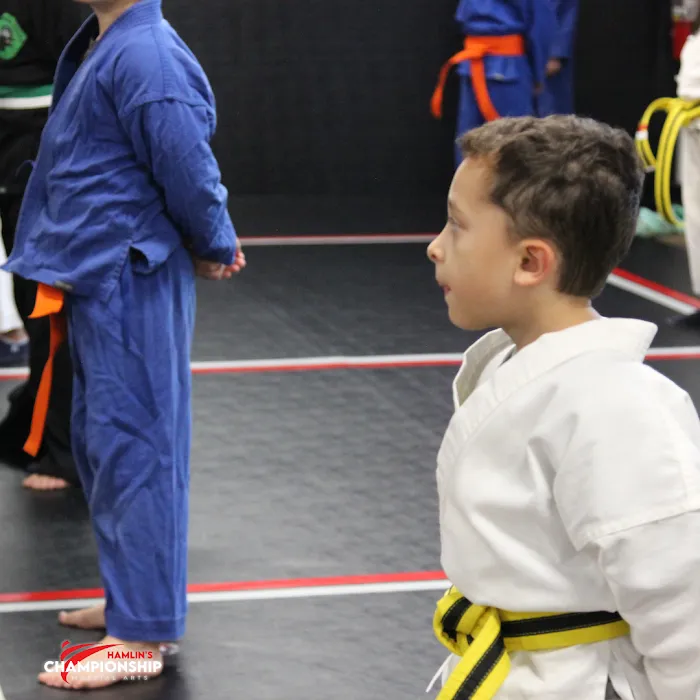 Championship Martial Arts Portage Picture 8