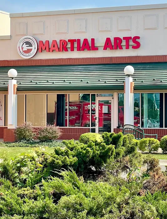 Portage JiuJitsu - Lightning Kicks Picture 5