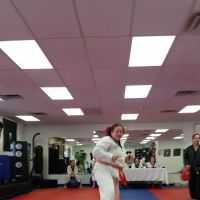 Walker's Taekwondo ico