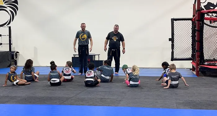 Trinity Martial Arts Kalamazoo Picture 6