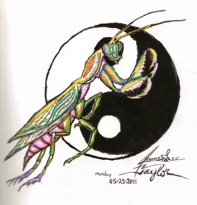 Southside Dojo Picture 10